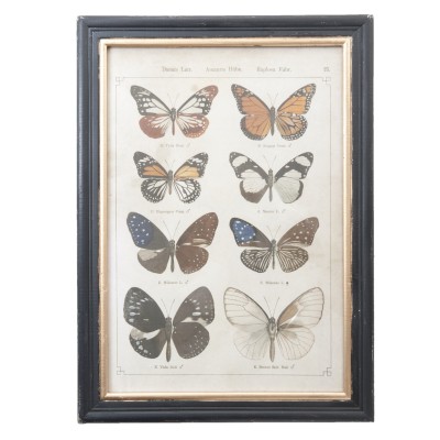 Grafika w drewnianej ramie z 8 motylami